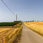 Capracotta - Sole Montemassi